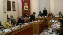 Consiglio comunale 11 marzo 2013 Punto 2 controd. variante aree da alienare intervento Crescentini