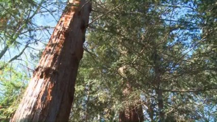 Pour vous en Pays de Savoie : "Portail environnement"