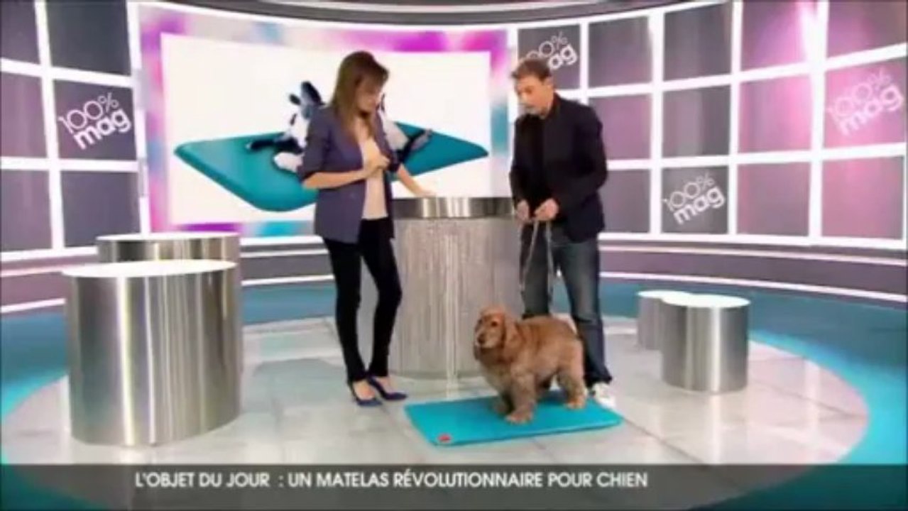 Le tapis auto-rafraîchissant pour chien Canine Cooler