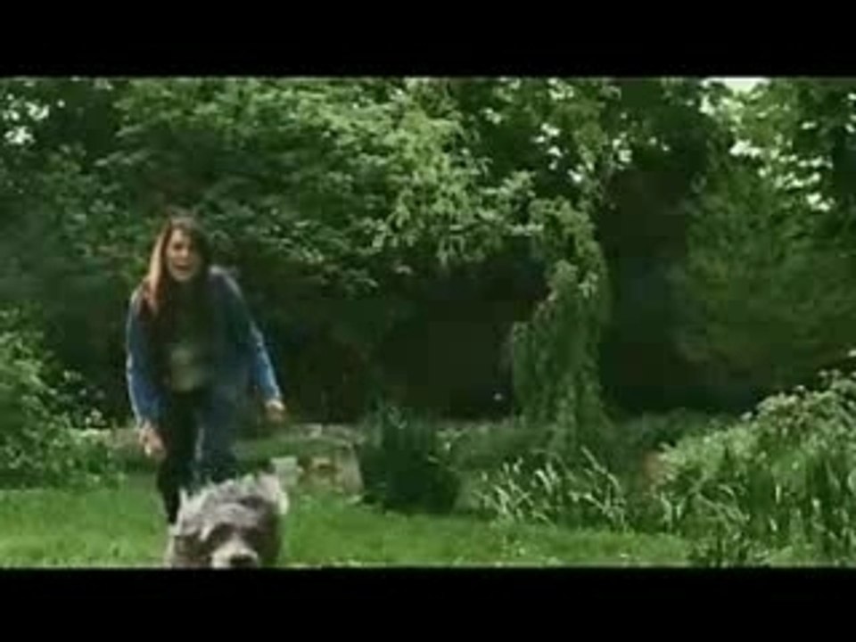Electrolux - 10-2006