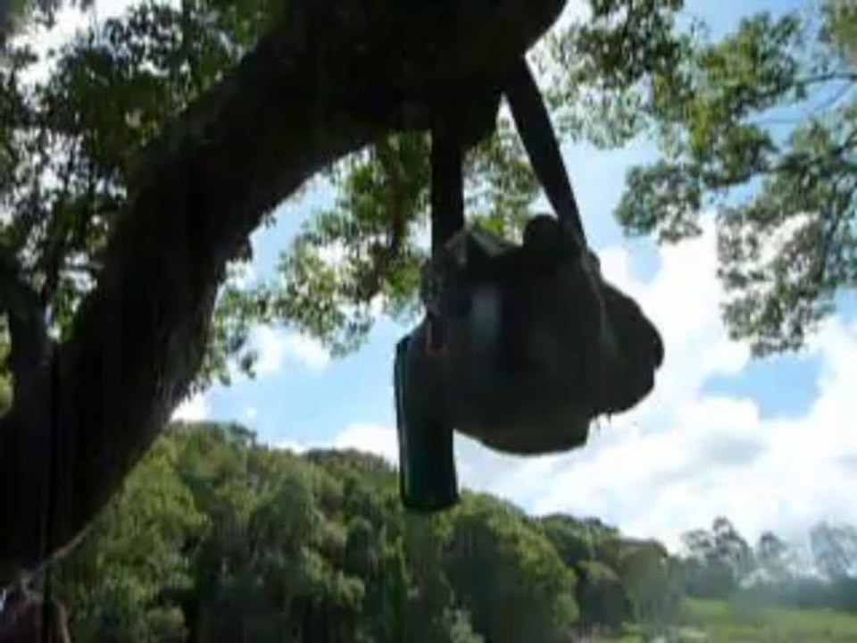 Australie Nimbin "into the nature"