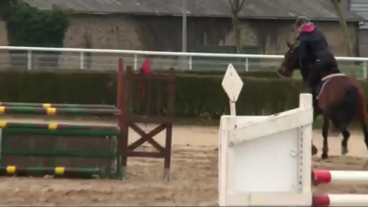 Une Diva