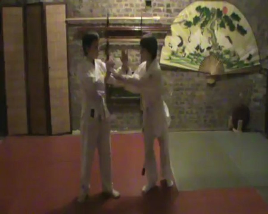 Gyaku hanmi ryote dori henka