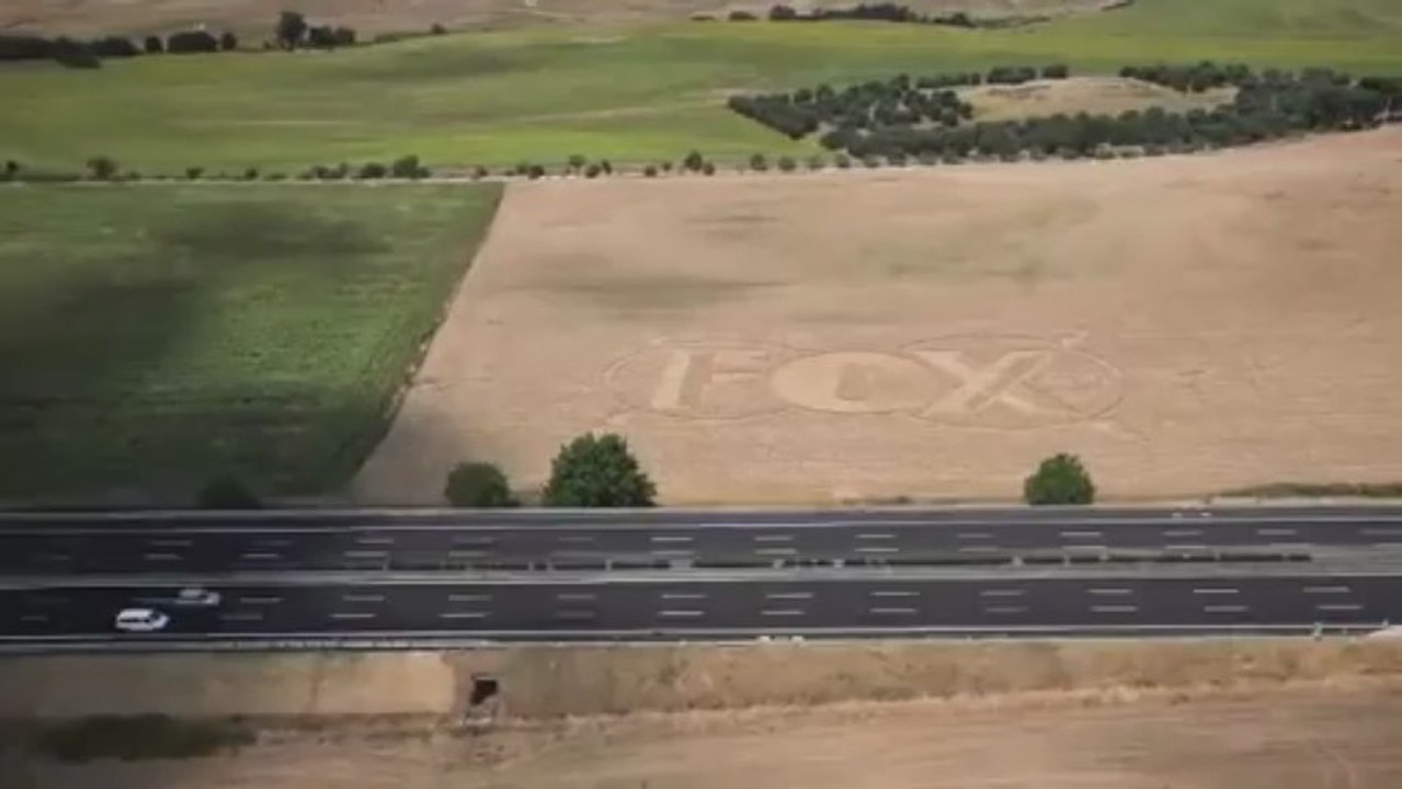 Misteriosi cerchi nel grano alle porte di Roma