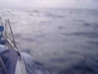 Jouet 920 Takarii, se promenant avec des dauphins