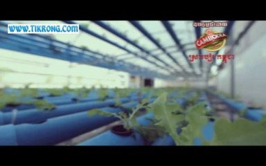 Ring Ring Tone ស្មោះស្នេហ៍ (ណាំ ប៊ុណ្ណារ៍ត្ន)