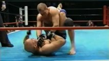 Fedor Emelianenko vs. Lee Hasdell