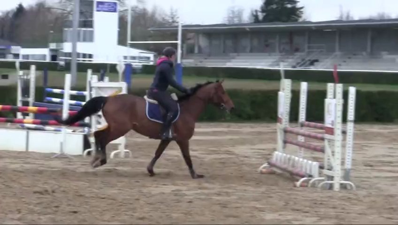 Upona