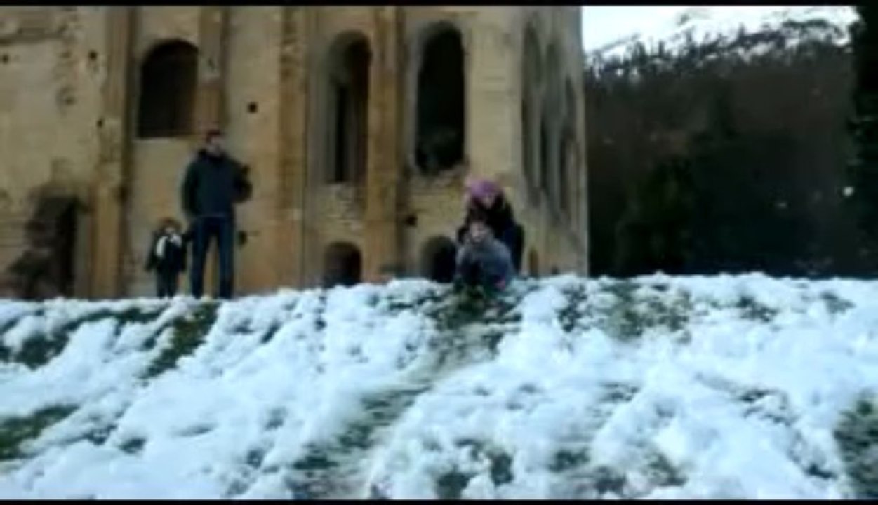 Alexneige