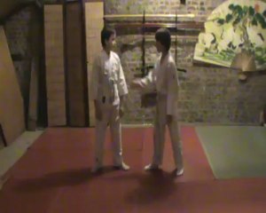 Gyaku hanmi mune dori