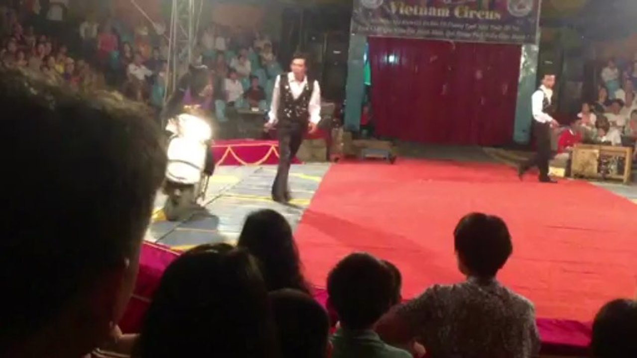 Vietnam circus enfants 2