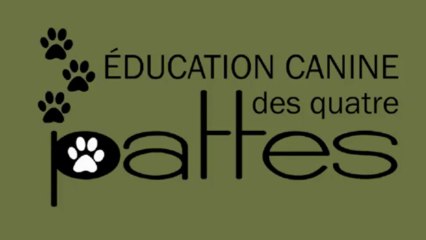 Entraînement chien : Max, va chercher la bouteille d'eau!