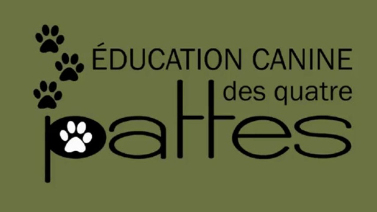 Entraînement chien : Max, va chercher la bouteille d'eau!