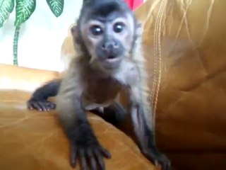 센토사카지노✲✲✲✲  ✲✲✲✲ Q­C­H­1­3­8.­C­O­M ✲✲✲✲   ✲✲✲✲세부카지노