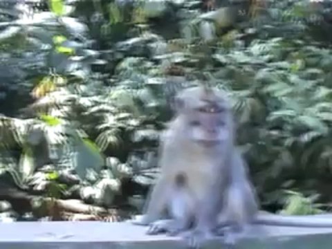 썬시티바카라✲✲✲✲ ✲✲✲✲ Q­C­H­1­3­8.­C­O­M ✲✲✲✲ ✲✲✲✲싱가포르카지노