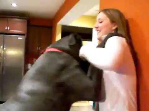 합법카지노✲✲✲✲ ✲✲✲✲ Q­C­H­1­3­8.­C­O­M ✲✲✲✲ ✲✲✲✲카지노룰렛