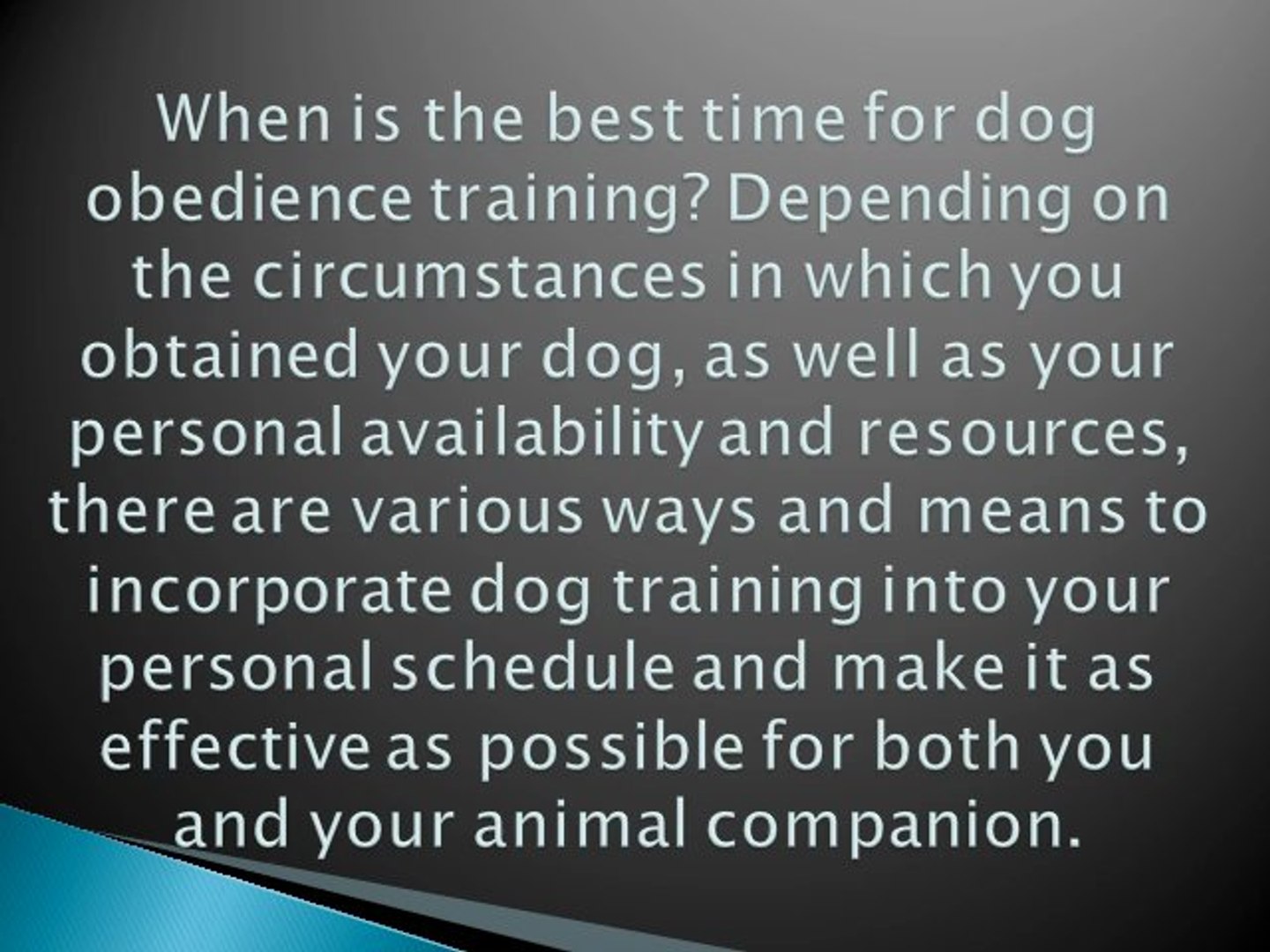 ⁣Time Is Essential In Training Your Dog