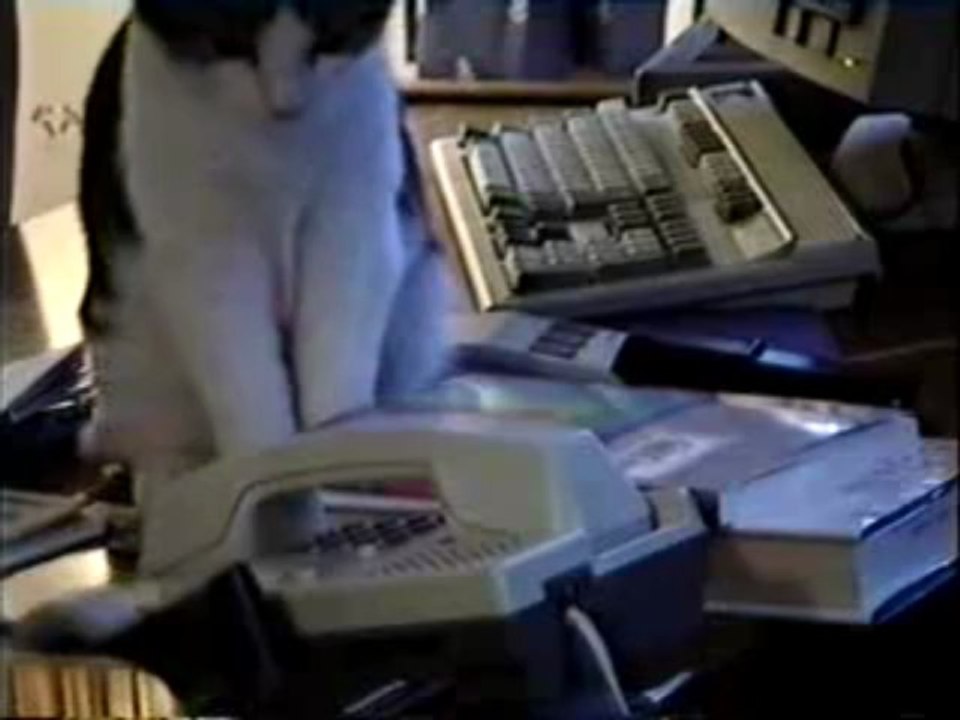 all love problems solution babaji +91-9915243009