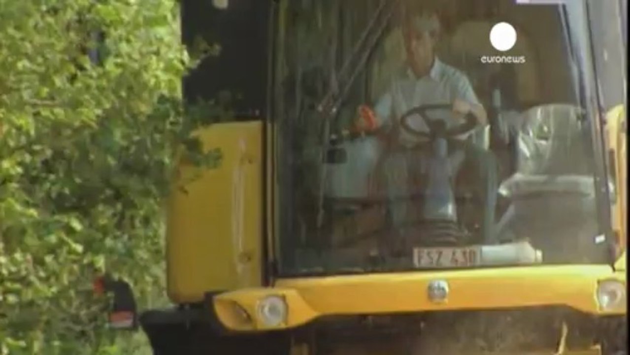 EU Parliament backs more transparency for farming subsidies