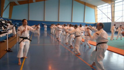 40 ans de Shorinji Kempo en France
