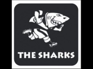 Live Rugby Brumbies vs Sharks