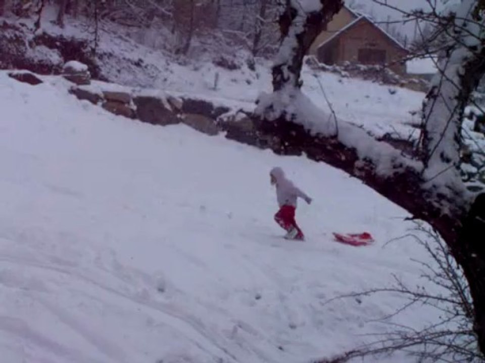 Luge