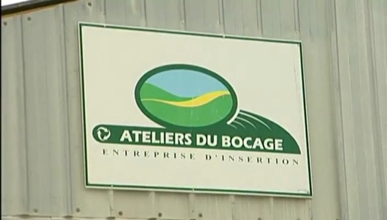 collecte et recyclage : la seconde vie des mobiles