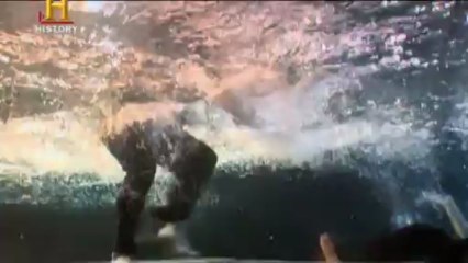 Dogunun Oldurucu Silahlari