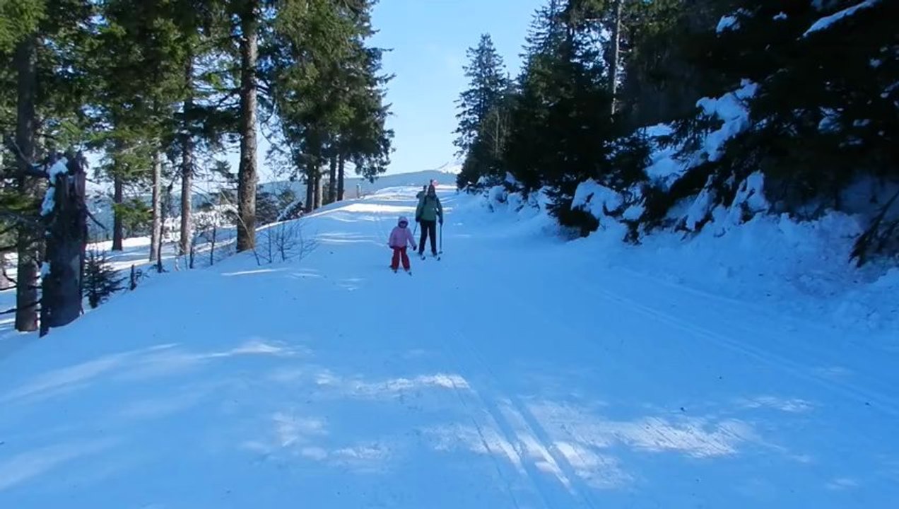 Vacances-Estables-2013 (13)