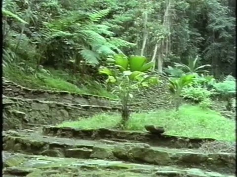 Эрих фон Дэникен - 21 - Затерянные в джунглях города