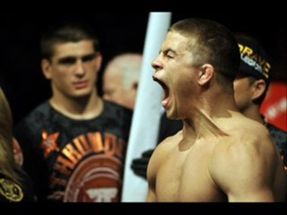 St. Pierre and Nick Diaz Live Fight On Web online