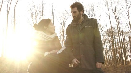 Un Mouton Qui Miaule