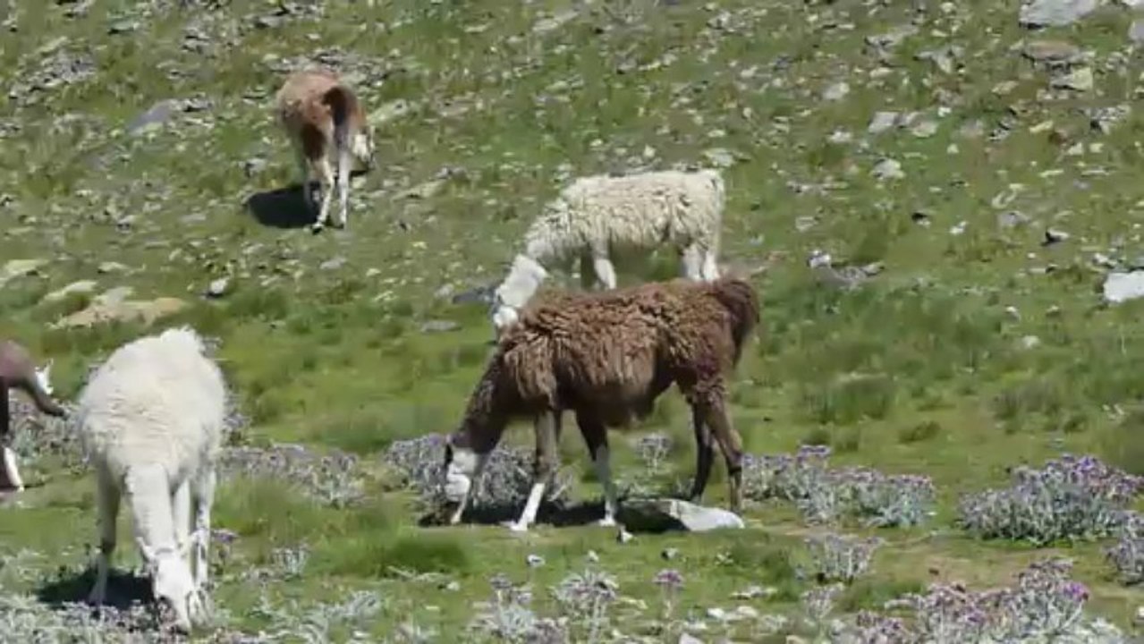20120803_Pic_du_Midi_2