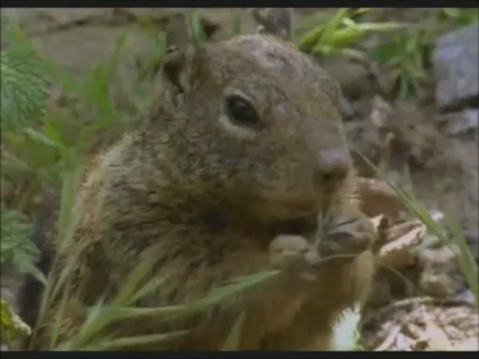 Mais ils vont nous tirer dessus ces cons..