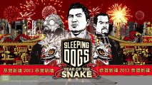 Sleeping Dogs | 