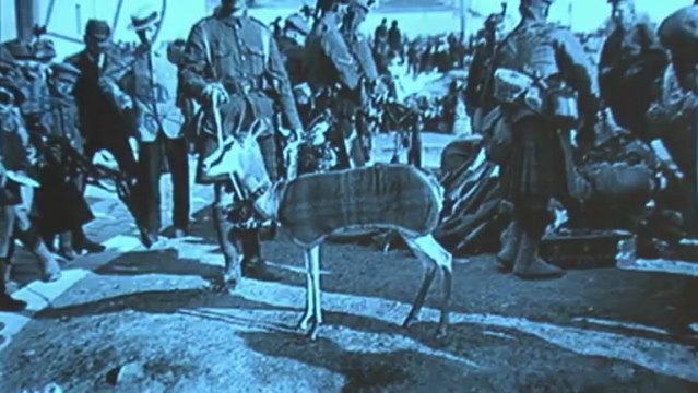 Jean-Yves Jouannais, L'encyclopédie des guerres, Entrée « Guilledin », - Le 15 novembre 2012