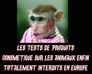 Tests des produits cosmétiques sur animaux - C'est terminé !