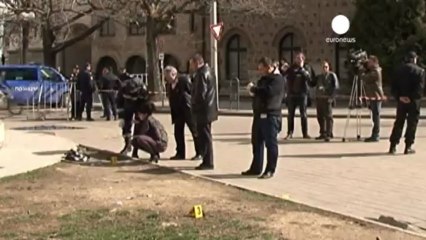 Bulgarian man sets himself alight outside president's...