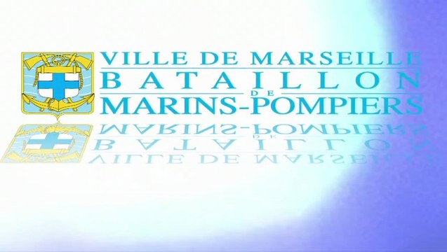 BMPM: Les volontaires des armées du BMPM.