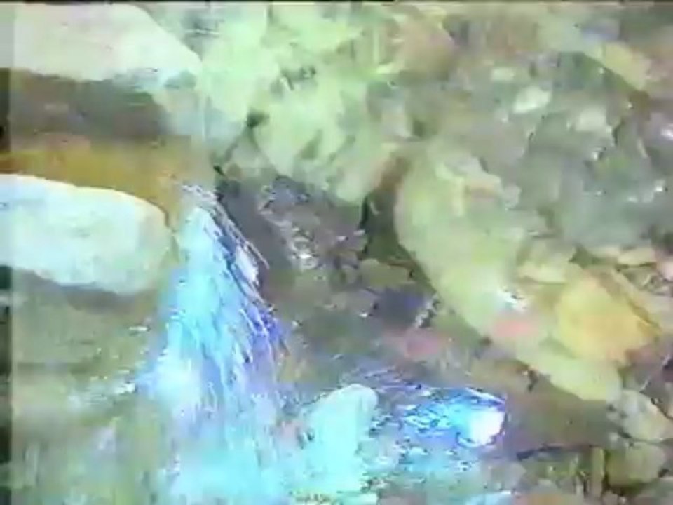 Šaban Šaulić - Tebi SPOT