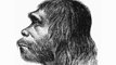 Larger Eyes Contributed to Neanderthal Extinction: Study