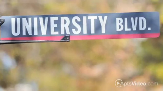 Steeplechase Apartments in Irving, TX - ForRent.com