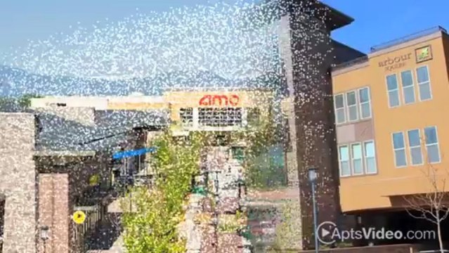 Arbour Square Apartments in Westminster, CO - ForRent.com