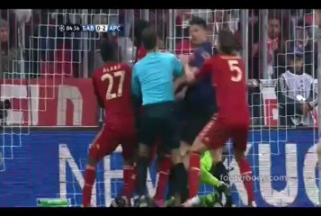 鱼类，如小公牛