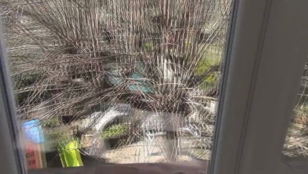 Location Appartement Isis à Grasse 06130