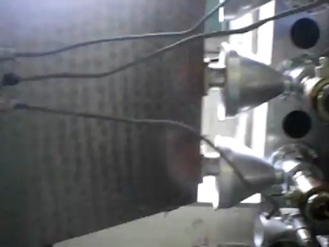 3 head Cold Press Apricot Kernel oil pressing - Tokul Tarim