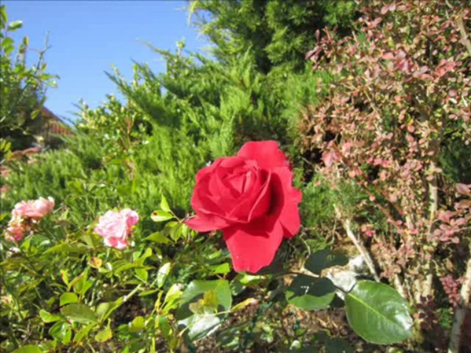 Chorale les Aigles de Malpas chante  : A LA CLAIRE FONTAINE en créole