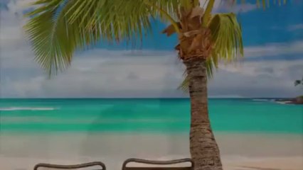 Ocean Avenue Business Opportunity Huston