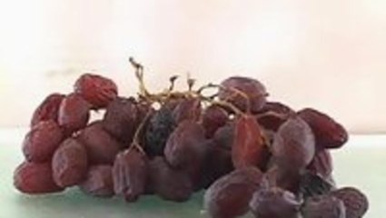 Grapes To Raisins Time Lapse