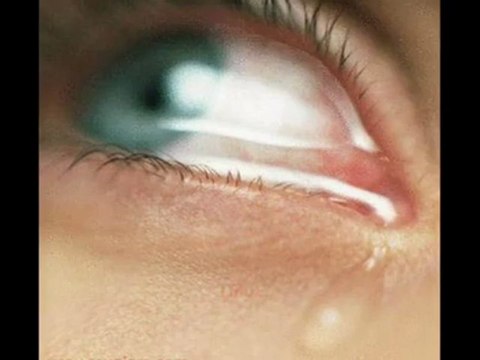 MUSTAFA TERECİ YILLARA SOR YILLARA